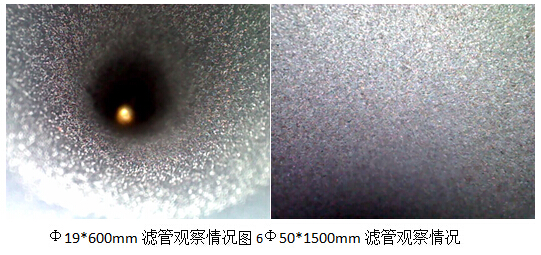 視頻內(nèi)窺鏡檢測(cè)效果圖