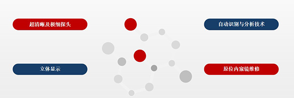 超清晰及極細探頭，自動識別與分析技術(shù)，原位內(nèi)窺鏡維修，立體顯示